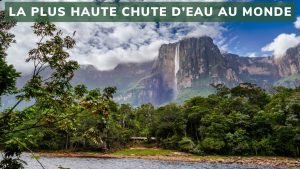 Salto Angel : La plus Haute Chute d'Eau du Monde